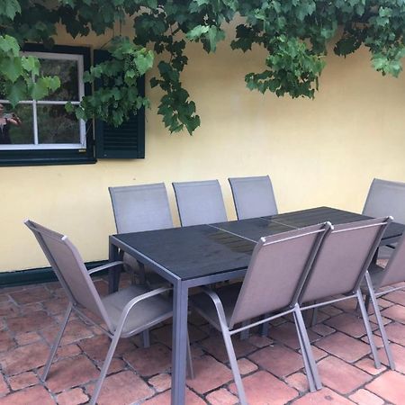Winzerhaus Mit Fernblick Βίλα Krems an der Donau Εξωτερικό φωτογραφία